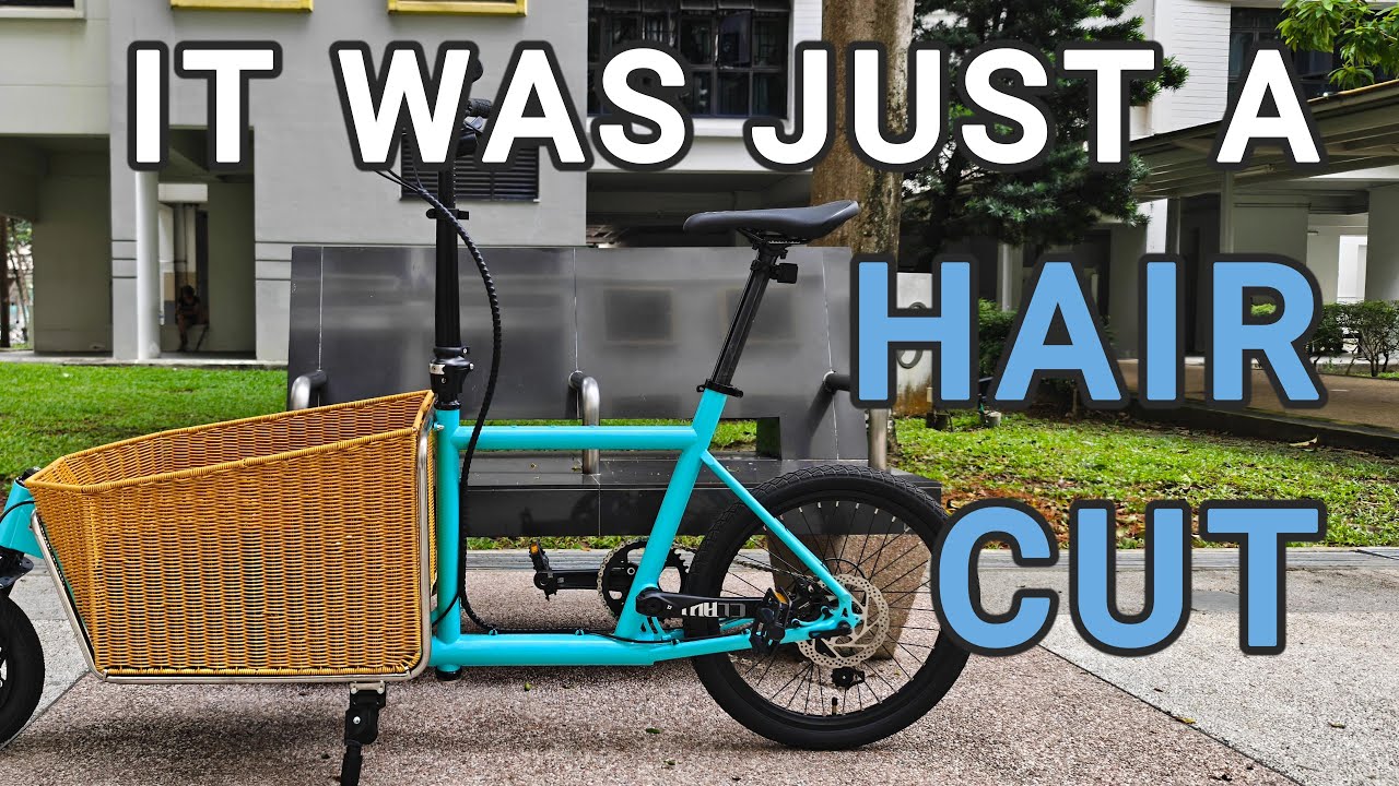 I WANTED A CARGO BIKE | NO BRAND | LBS STOCK