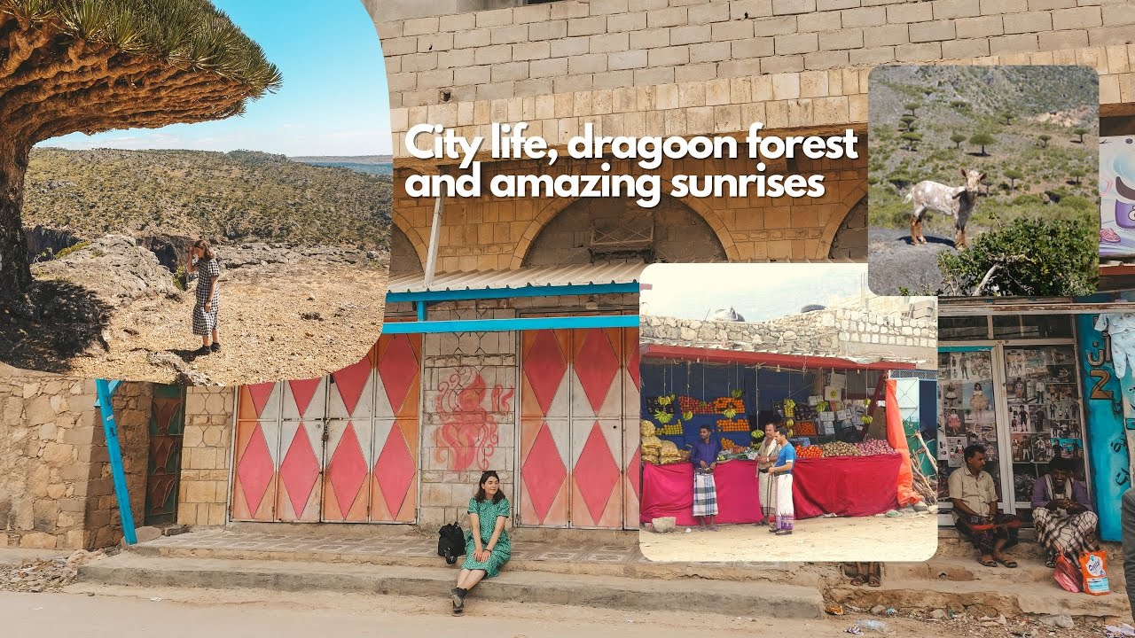 Socotra - Dragoon Forest and city life