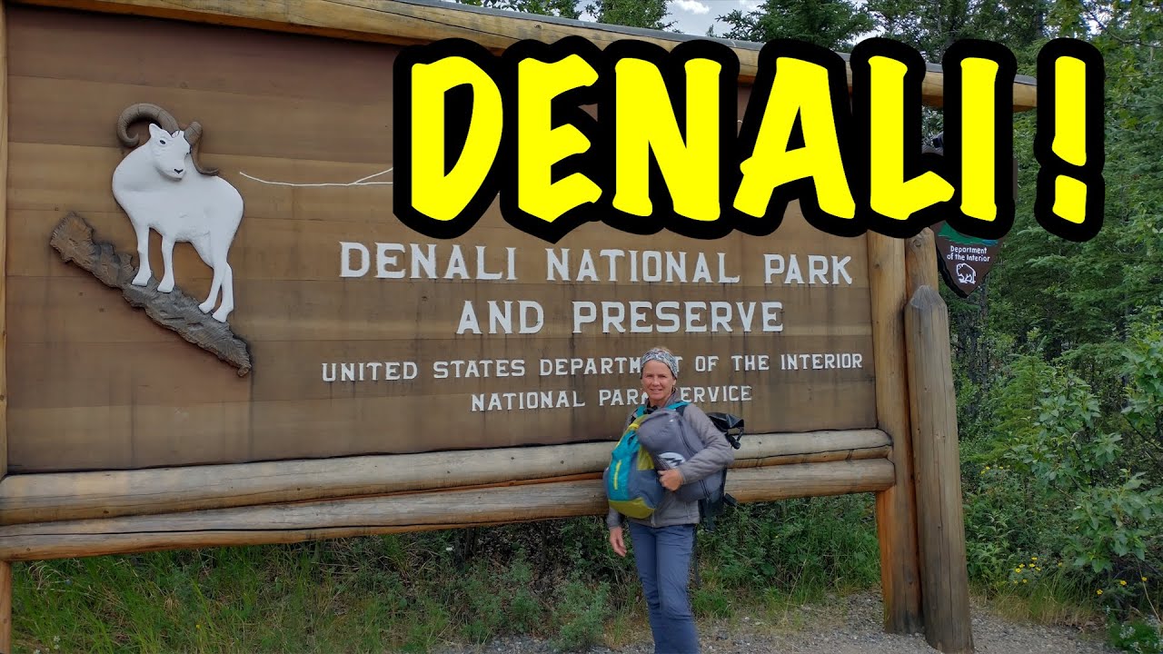 ALASKA Adventure DAY 2 | DENALI NATIONAL PARK! We explore Denali backpacking Igloo Creek Campground.