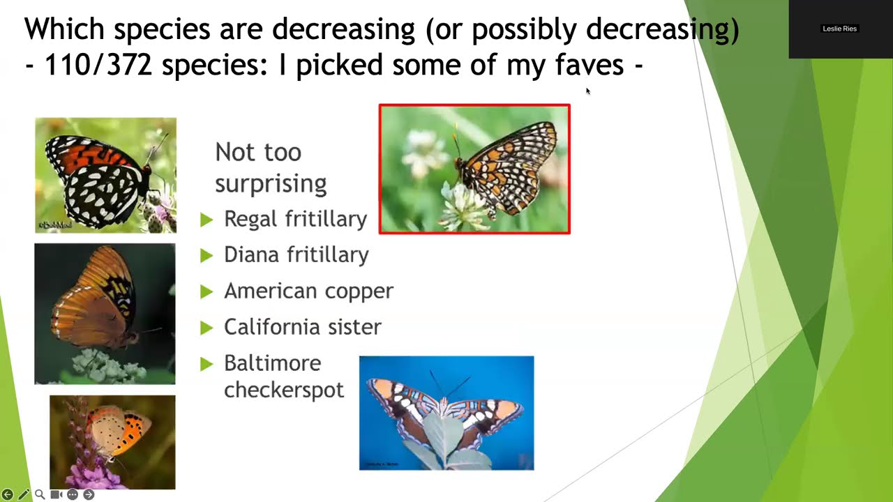 9.19.25 Butterfly Population Trends in America North of Mexico and Their Most Likely Drivers.