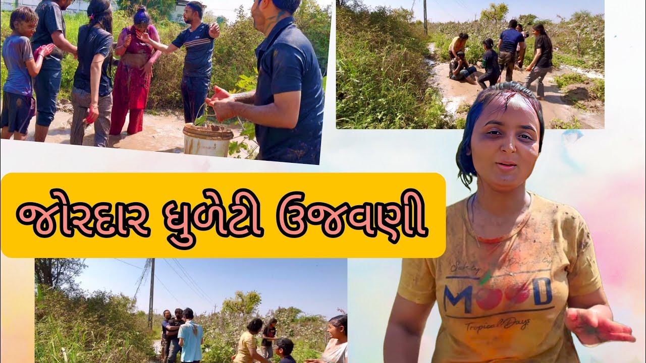 જોરદાર ધુળેટી ઉજવણી || ફુલ મોજ || paras goswami Vlogs
