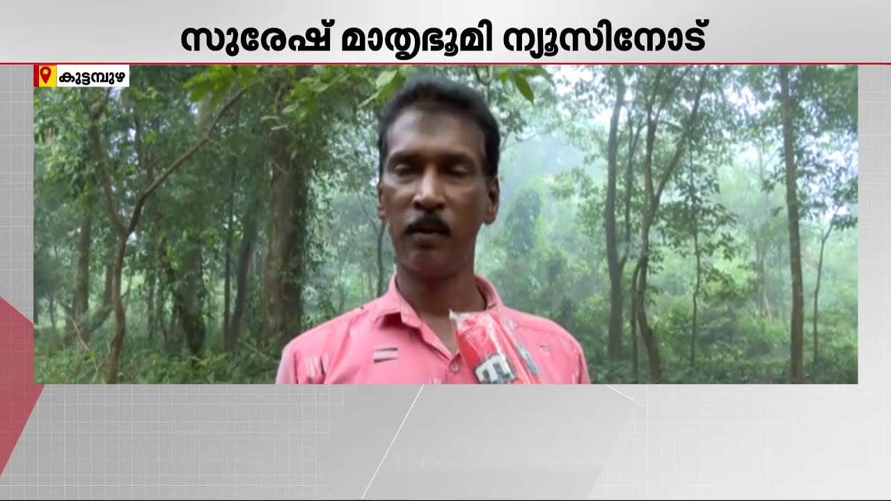 'ടോര്&zwj;ച്ച് അടിച്ചാല്&zwj; ഈ ആന മാറി നില്&zwj;ക്കും സാധാരണ അങ്ങനെയാണ് ചെയ്യാറ്' | Kuttampuzha Elephant Attack
