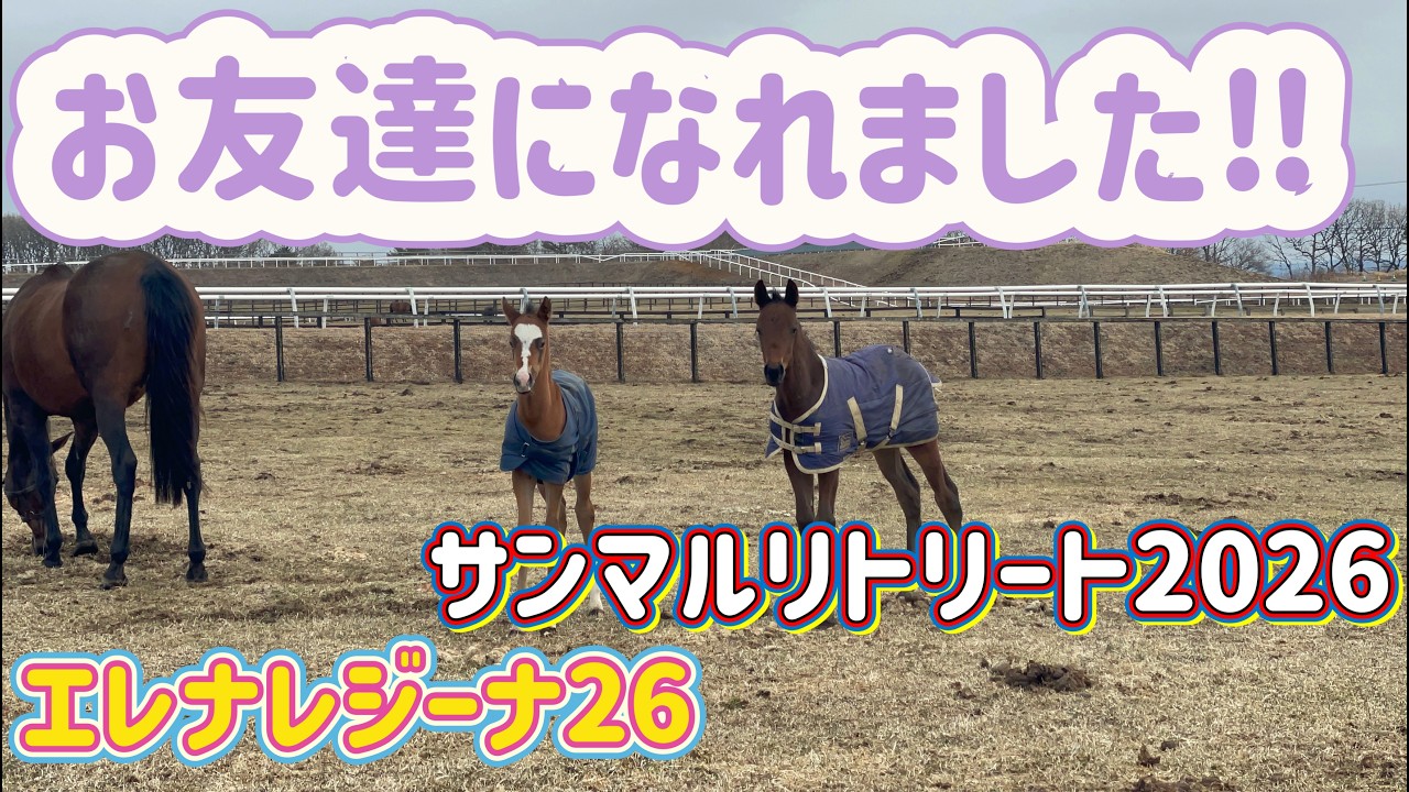 お友達になれました！