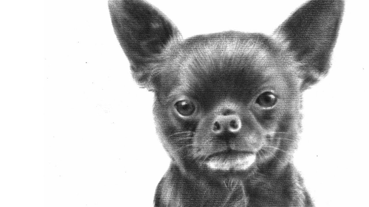 Dry-Brush-Technik im Zeitraffer: Hund gemalt mit &Ouml;l auf Aqarellpapier