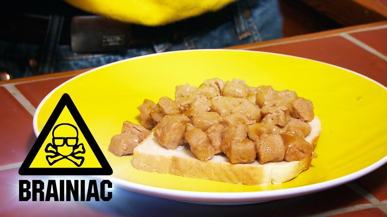 Should you EAT dog food?!  - Dear Jon | Brainiac