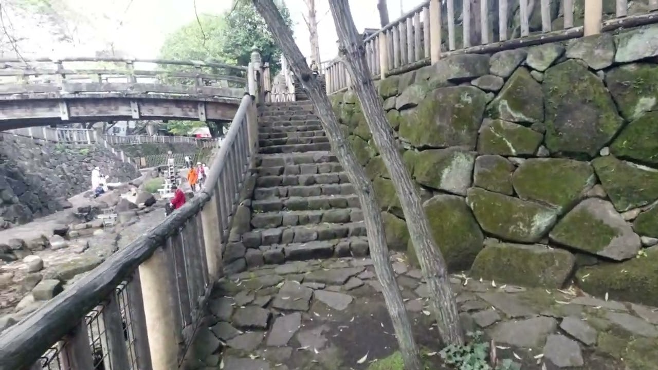Quick walk from Oji shrine  to Oji station (2023) Tokyo, Japan