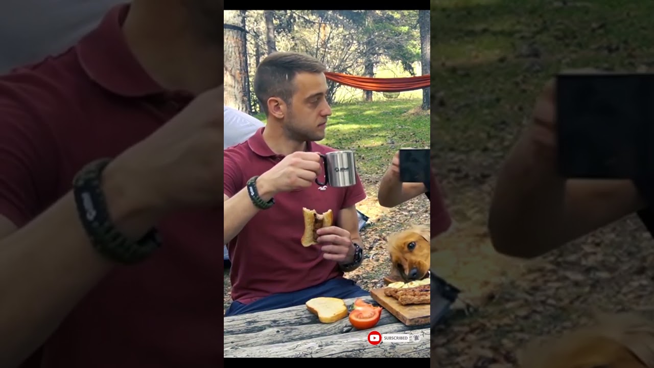 Roasted kebabs on a campfire #shorts #cooking
