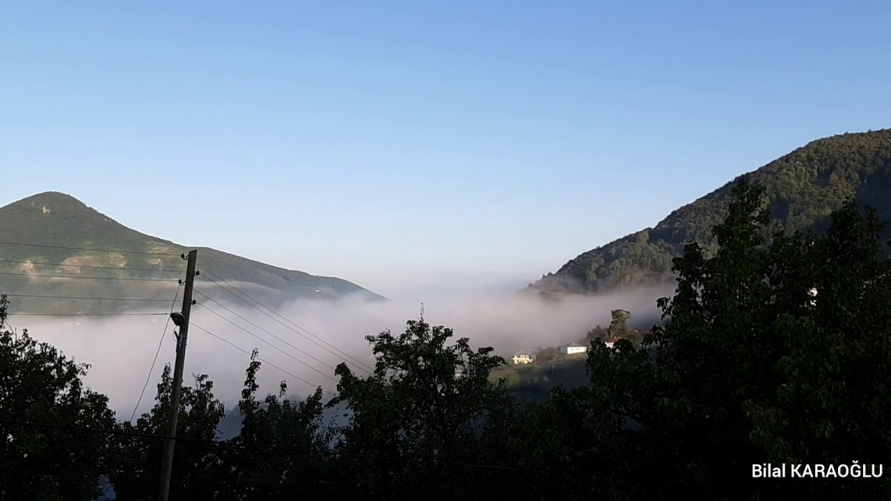 ordu akkuş alan köyü