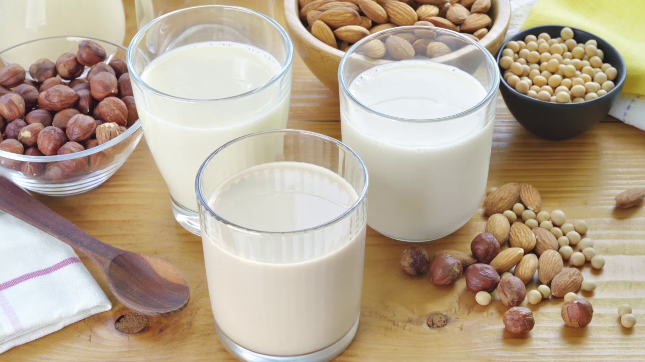 Dairy-Free Milk Alternatives - The Basics