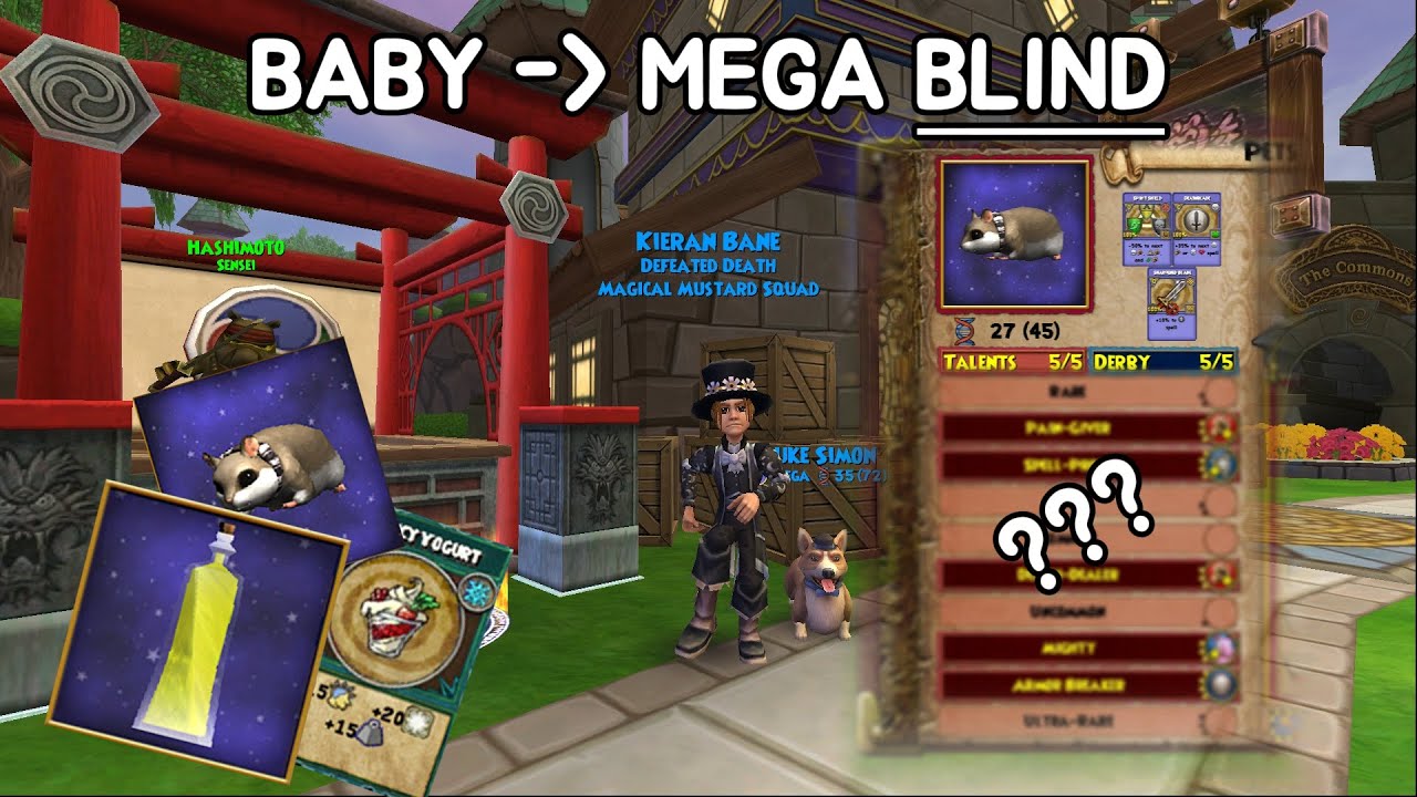 I took Wizard101 pets to mega BLIND