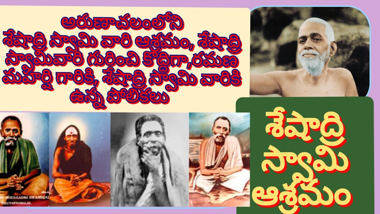 అరుణాచలంలోని శేషాద్రి ఆశ్రమంటూర్ |రమణ మహర్షికి శేషాద్రి స్వామికి ఉన్న అనుబంధము పోలికలు #arunachalam