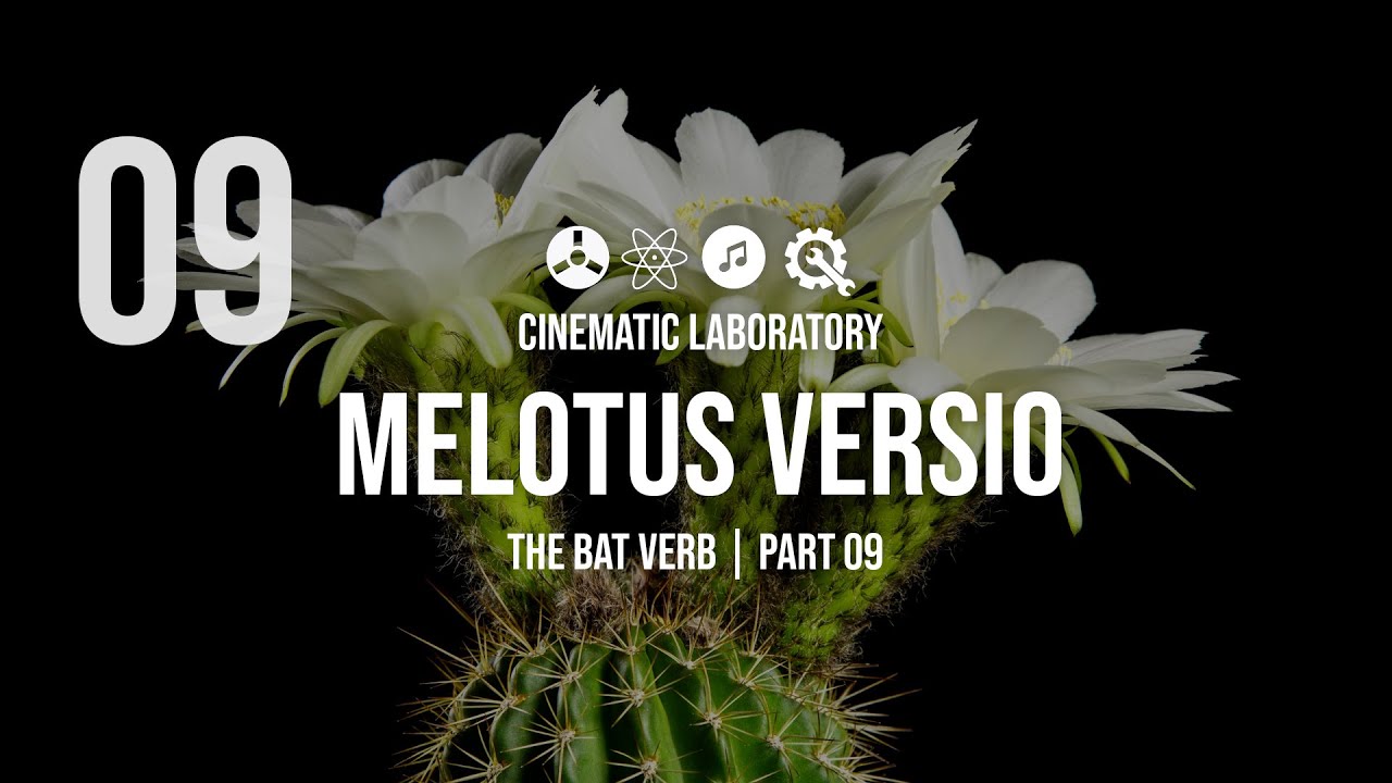 Melotus Versio | The Bat Verb | Part 09