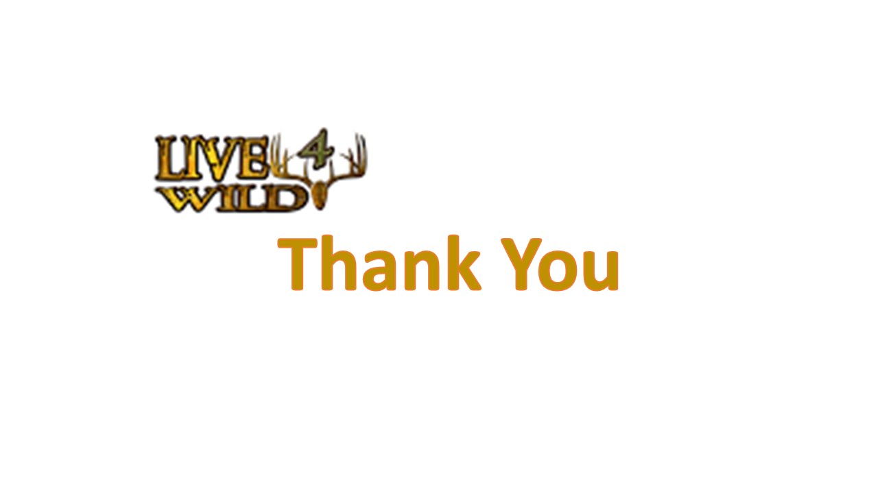 Live4Wild Thank You