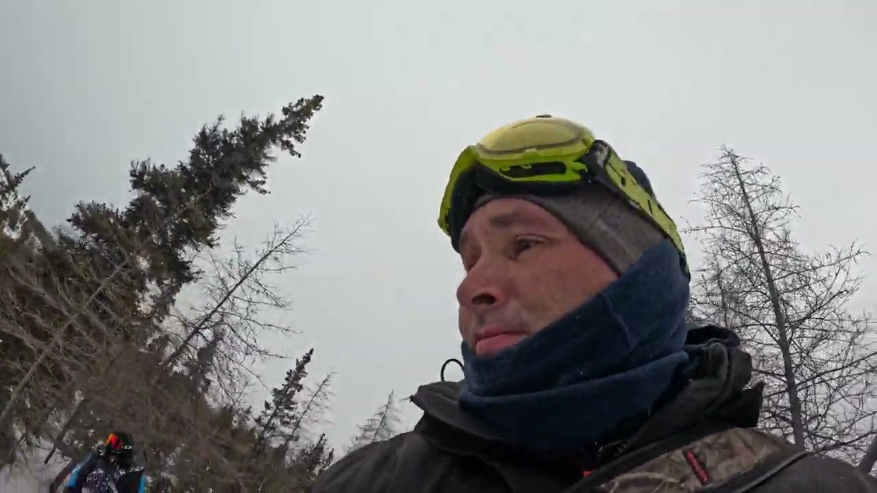 Lynx & Fox Sets Paying off   #lynxtrapping #nunatsiavut #trapping