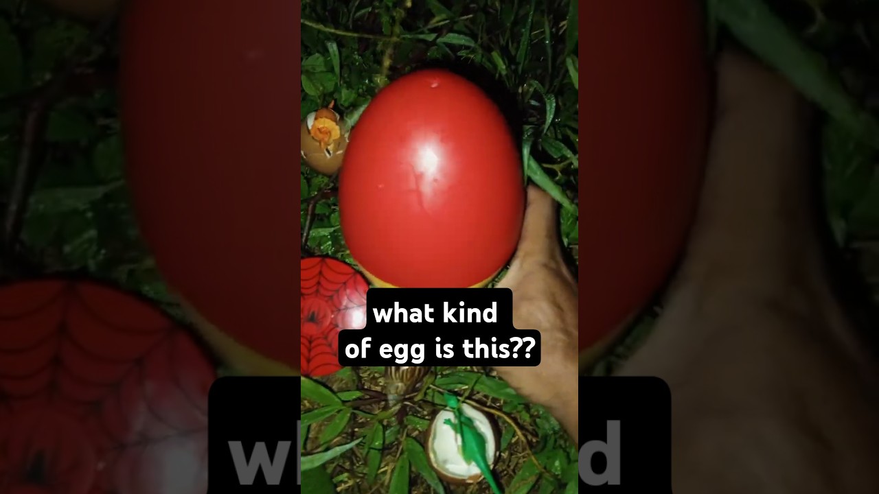 egg surprise at night # #creepynight #scarynight #egg