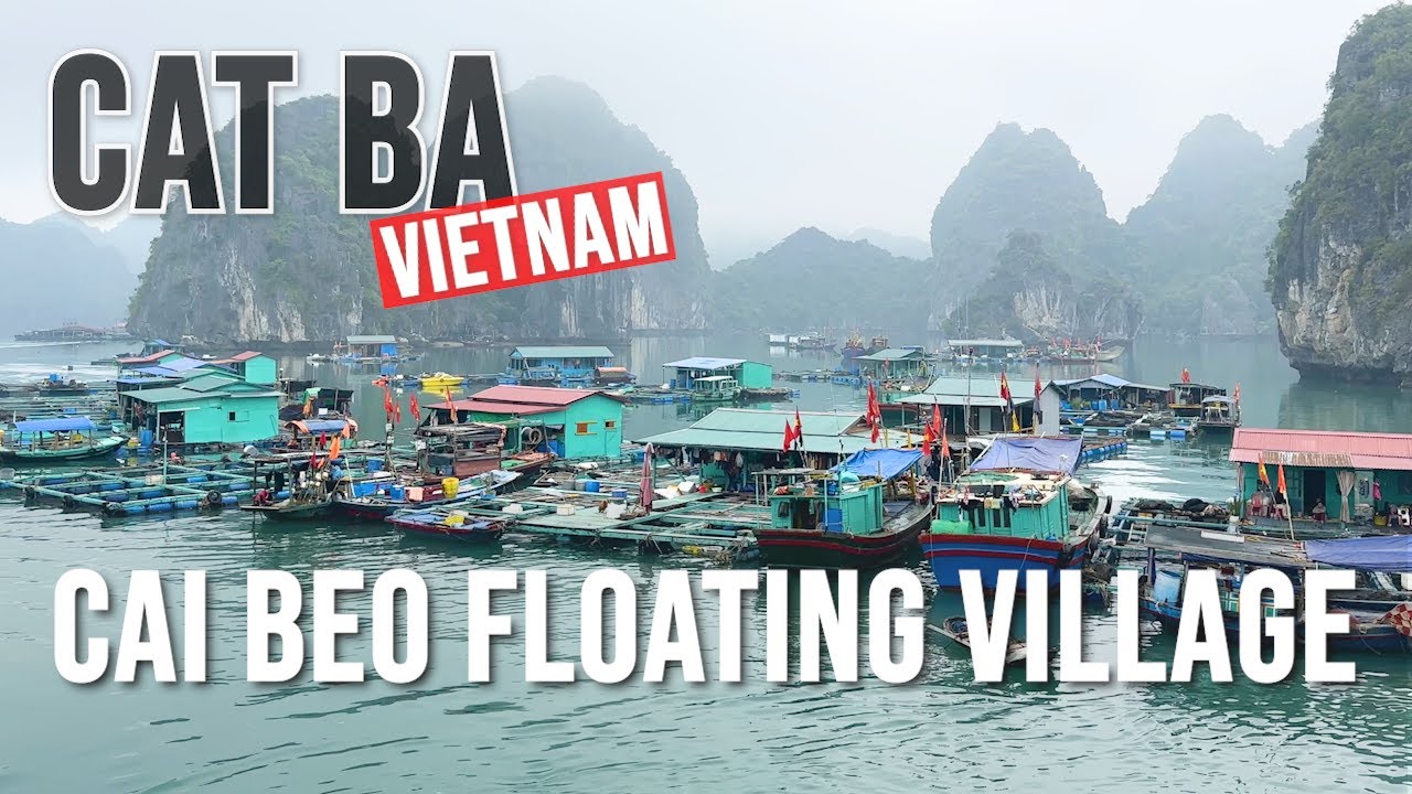 VIETNAM’S LARGEST AND OLDEST FLOATING VILLAGE – Cai Beo Village on Cat Ba Island, Ha Long Bay
