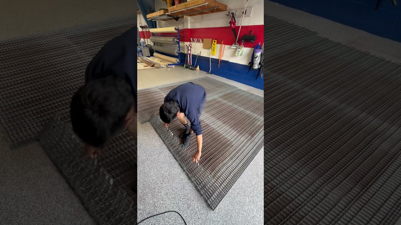 What&rsquo;s HIDING in your rug?!