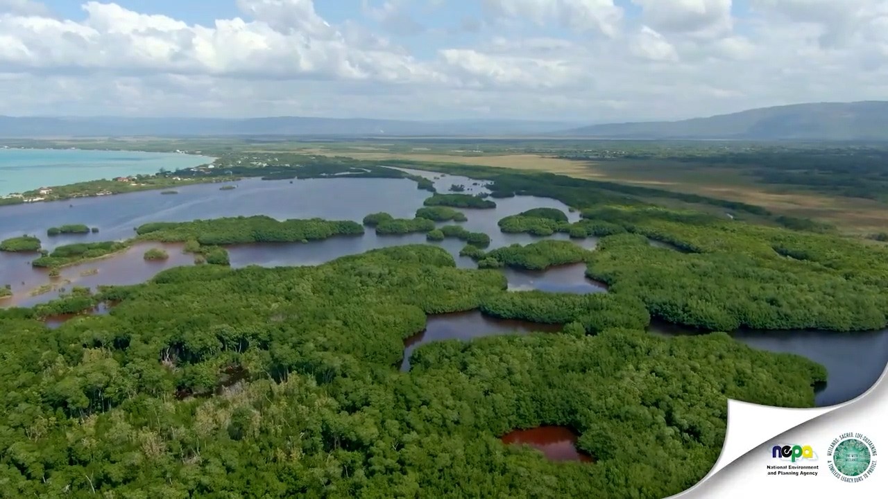 News Bite: NEPA World Wetlands Day 2026