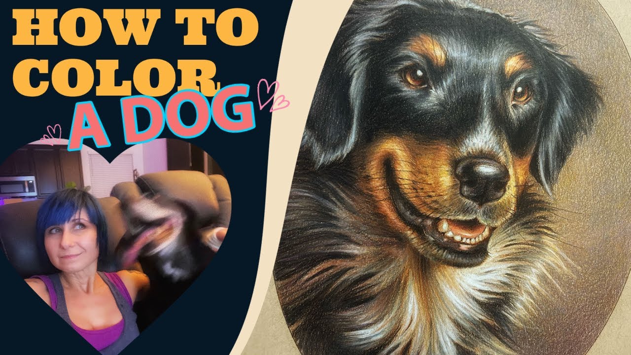 How To Color A Dog With Colored Pencils // BLACK, TAN & WHITE