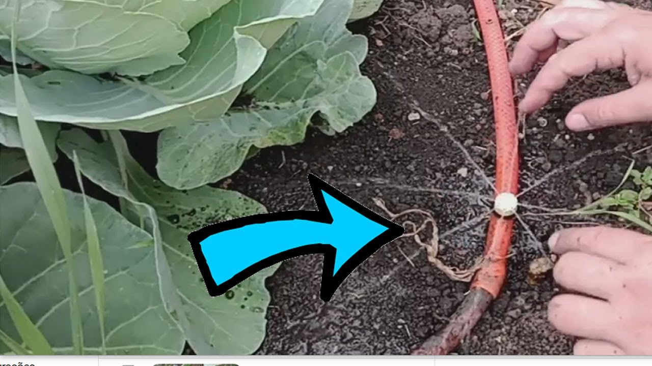 VEJA SUAS PLANTAS EXPLODIREM COM ESSA VÁLVULA DE IRRIGAÇÃO EFICIENTE E BARATA