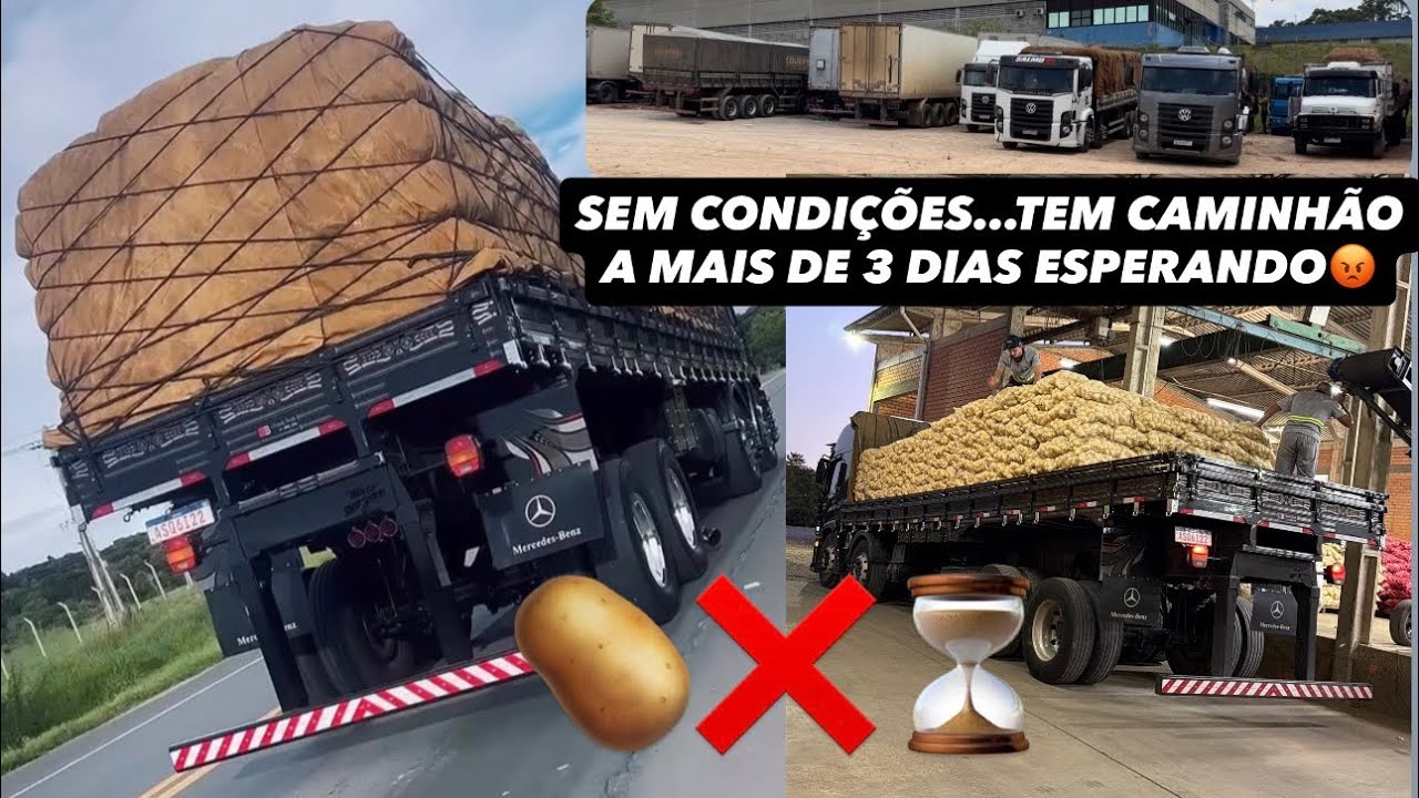 NÃO DÃO A MÍNIMA CONDIÇÃO DE DEIXAR O CAMINHONEIRO 3 DIAS ESPERANDO A DESCARGA