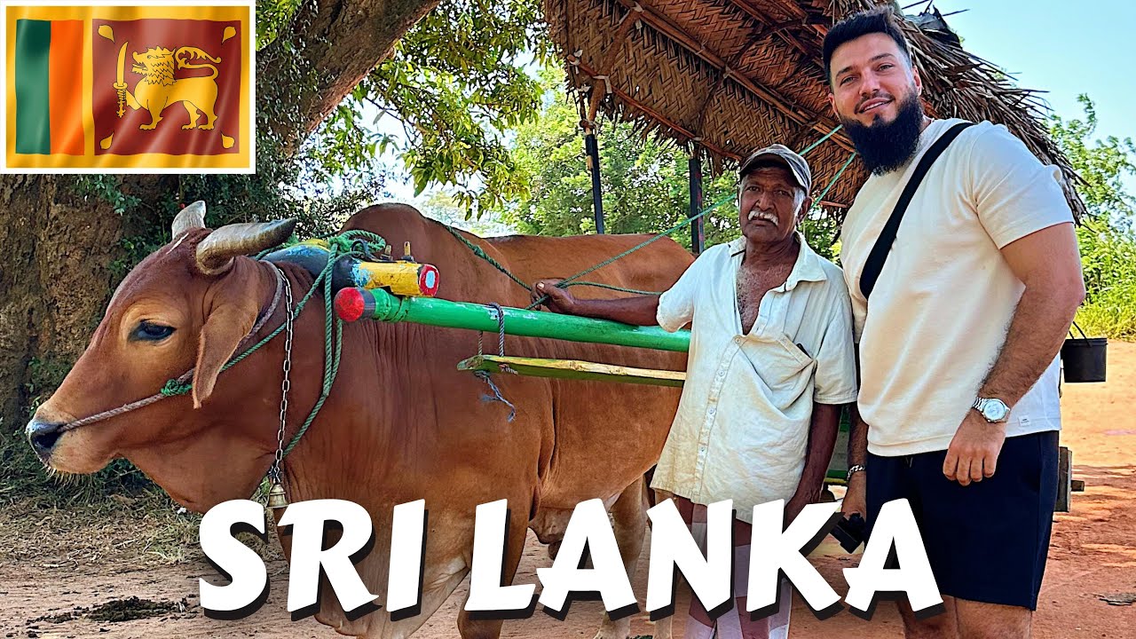 Deep Inside Habarana Village Life, Sri Lanka 🇱🇰 PART 1