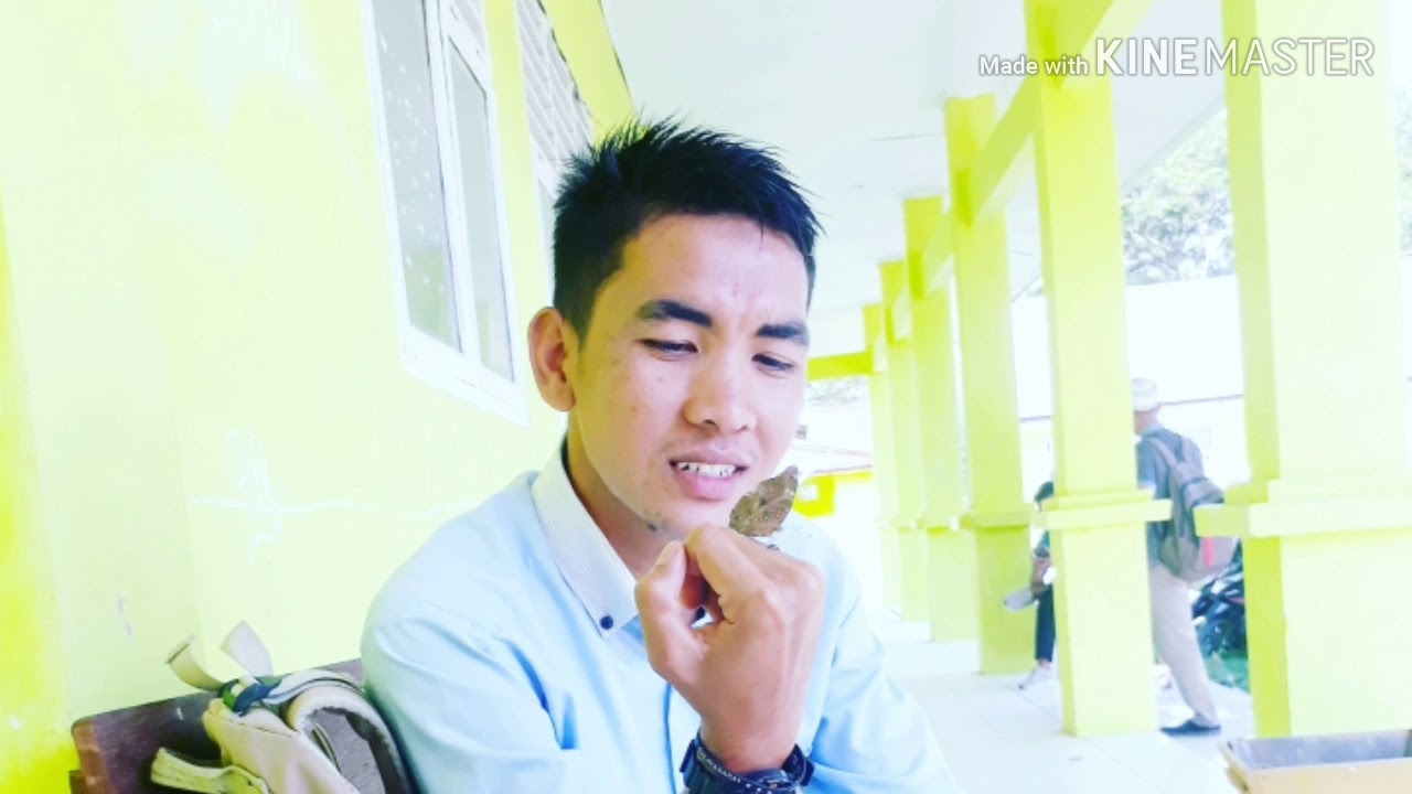 Ajipati janur kuning