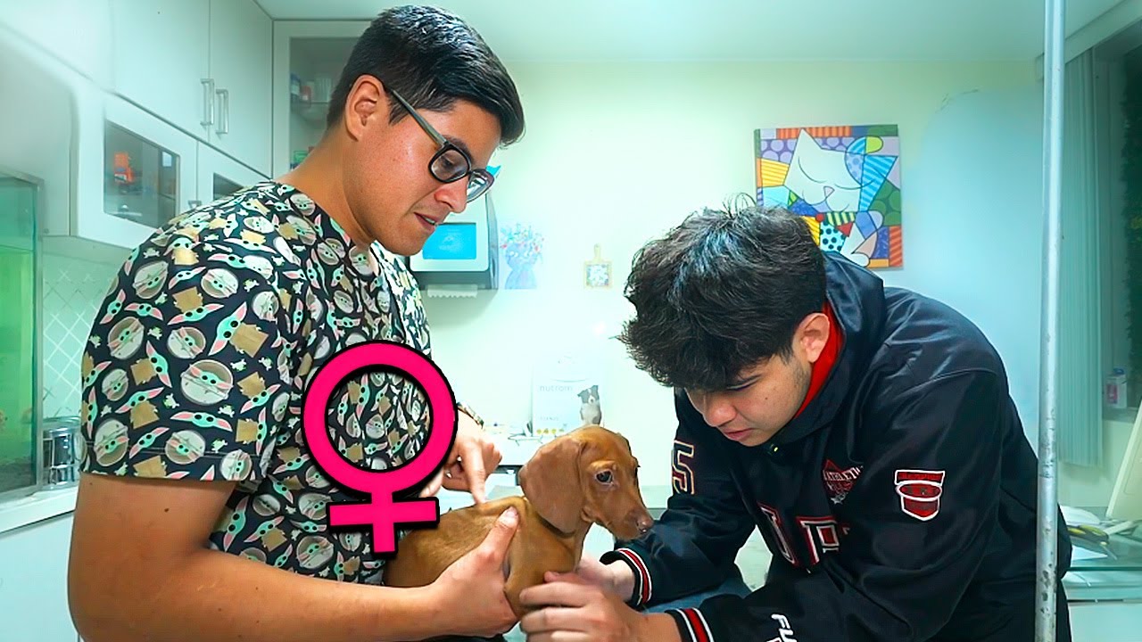 DESCUBRÍ QUE MI MASCOTA ERA HEMBRA DE LA PEOR MANERA 🐕😭