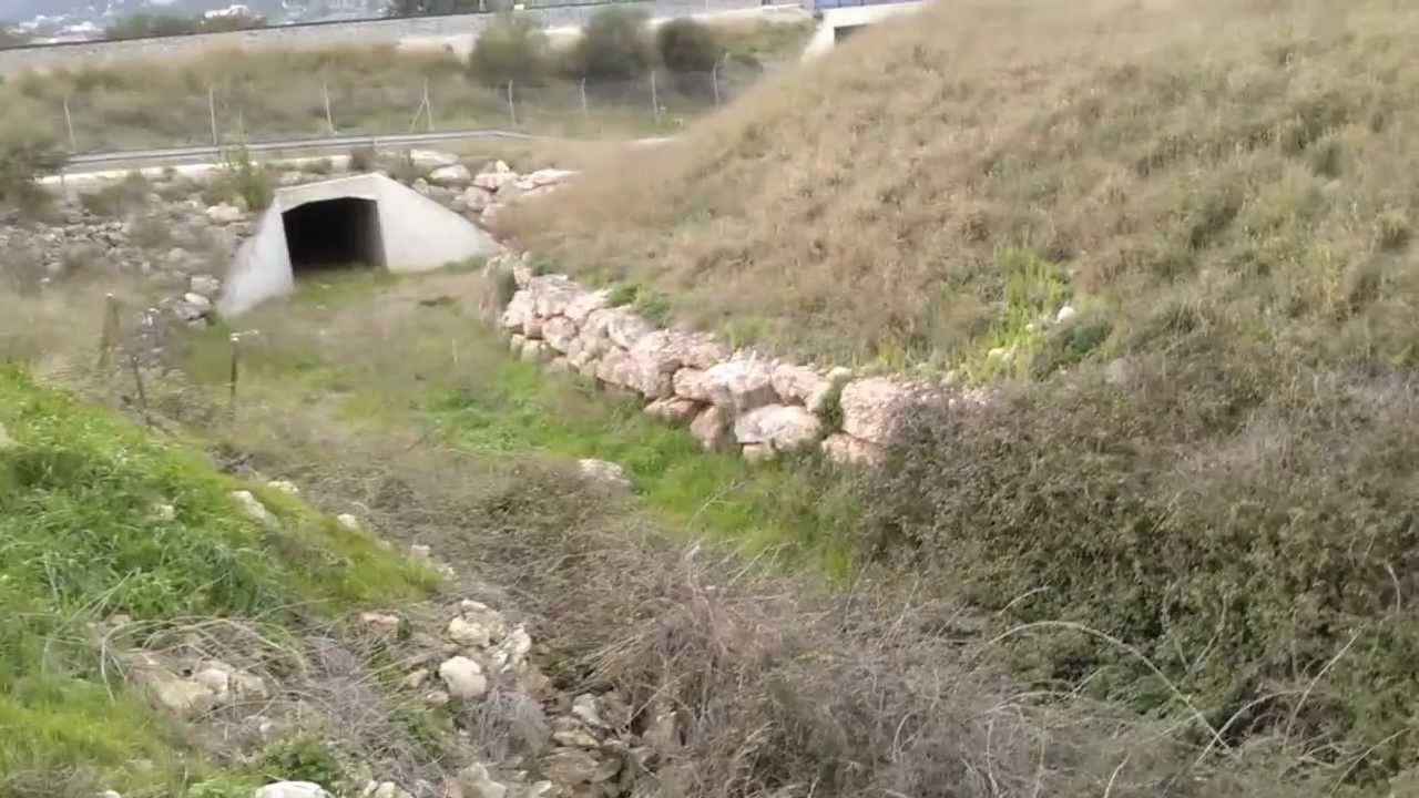 Petit basset y leonados