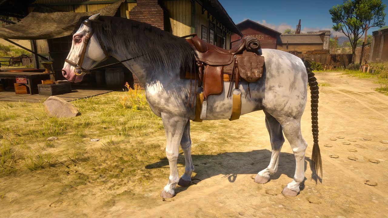Cowgirl's Epic Upgrade Horse | Cowgirl Caught White Roan Nokota Horse