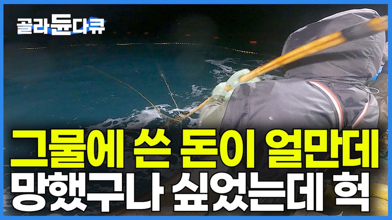 그물값만 10억. 기름값에 선원들 월급에 망했구나 싶었는데 '대박'｜인기도 몸값도 무섭게 치고 올라오는 겨울 인기 생선｜방어 대신 대삼치｜만선 대삼치잡이｜극한직업｜#골라듄다큐