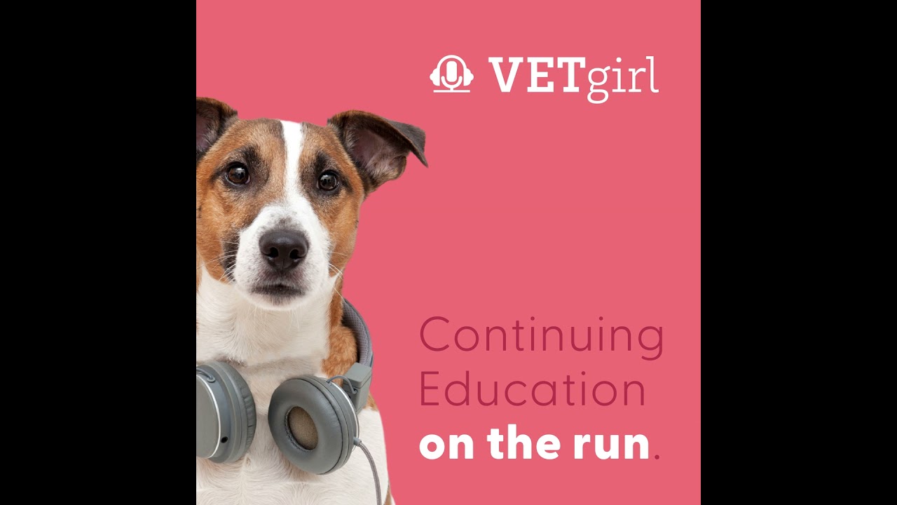 A Review of Intervertebral Disc Disease (IVDD) in Dogs with Dr. Missy Carpentier | VETgirl Veteri...