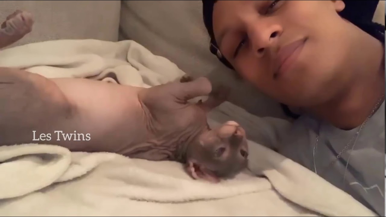 Laurent and Paname Bonding Sessions | Saturday 16 March 2019