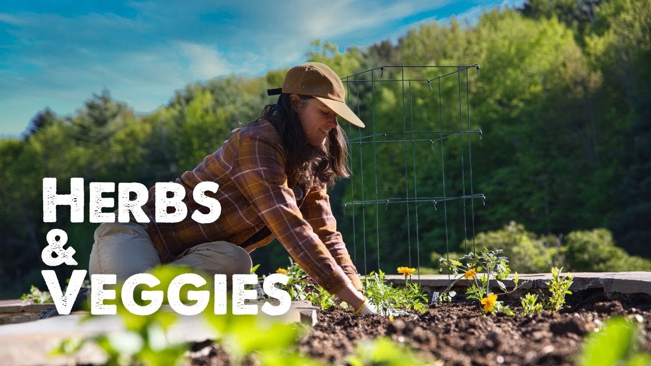 Growing Veggies and Herbs 🌿🍅🥕🍓 || Flock Finger Lakes