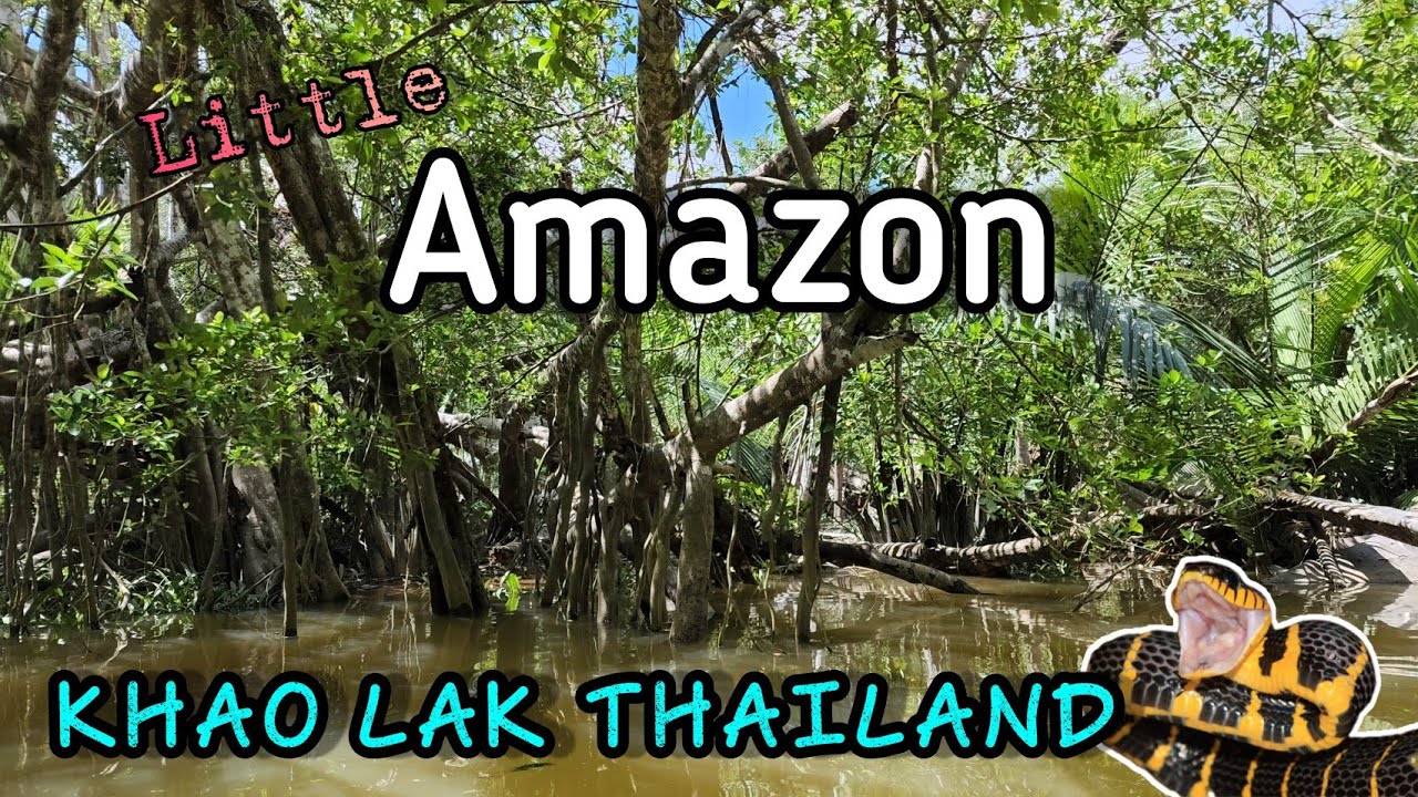 Khao Lak Little Amazon Takuapa | Stunning Jungle nature in Southern Thailand | Update 5 June 2022