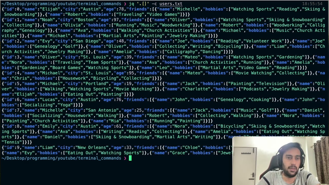 Query your JSON with jq