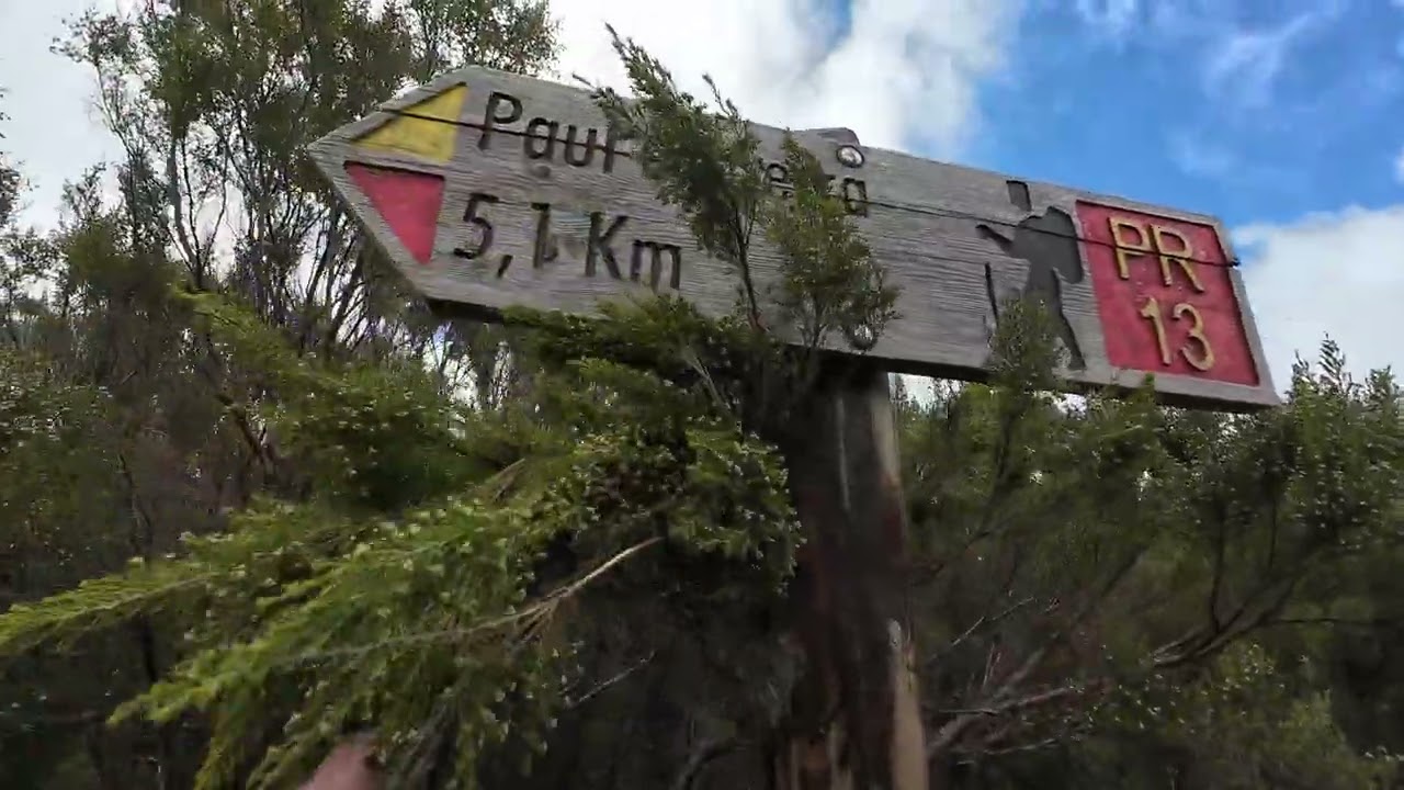 Hiking from Fanal to Rabacal tunnel, Madeira, Portugal