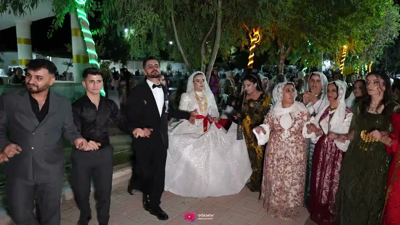 Mehmet Aybi Dügünü Part 3 ( Grup Nihat Silopi ) 2025