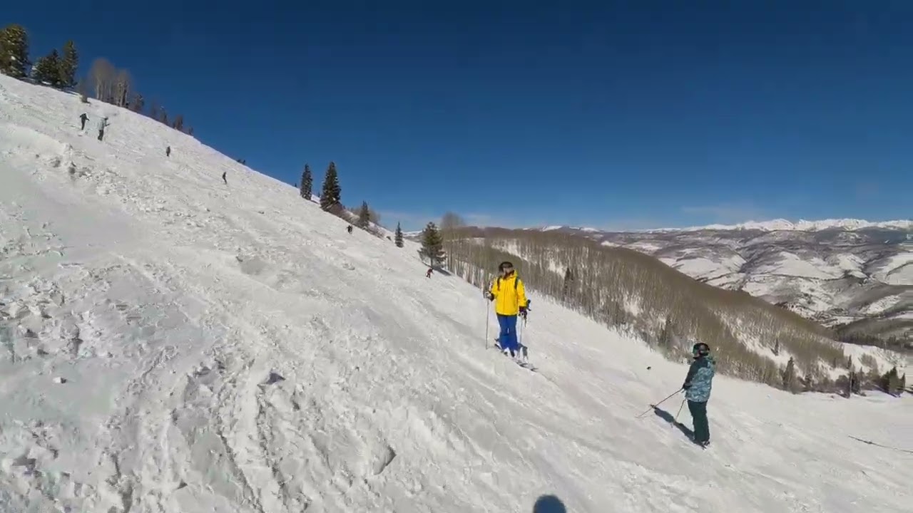 Skiing Lupine, Yarrow and Larkspur at Beaver Creek, CO