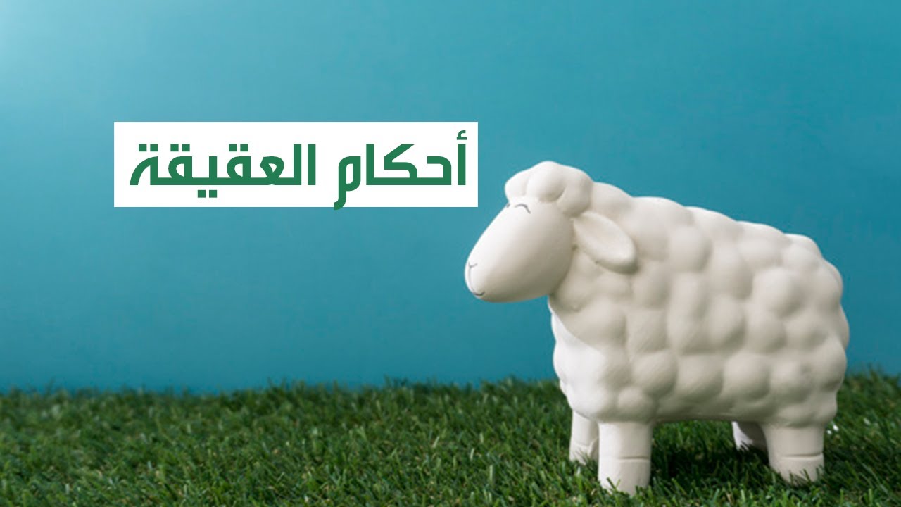 ما هي العقيقة وما حكمها وهل يوجد فرق بين عقيقة الولد و البنت ؟