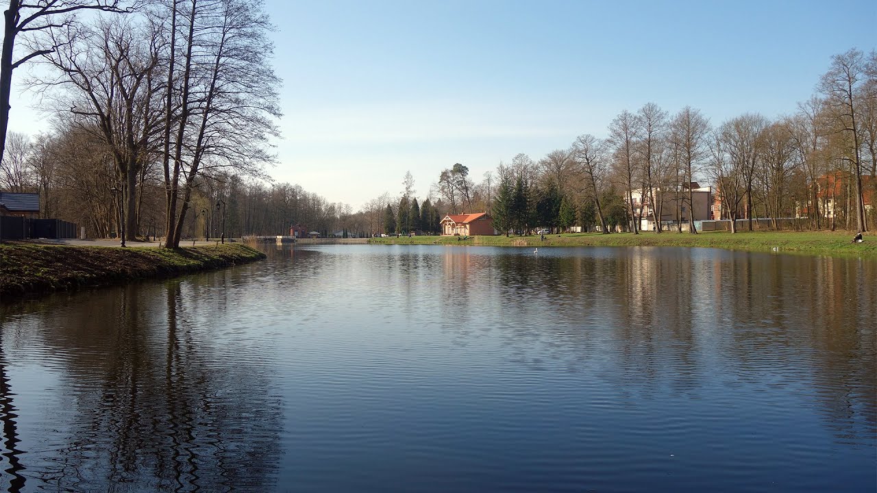 Pierwsze wędkowanie na stawie w Spale