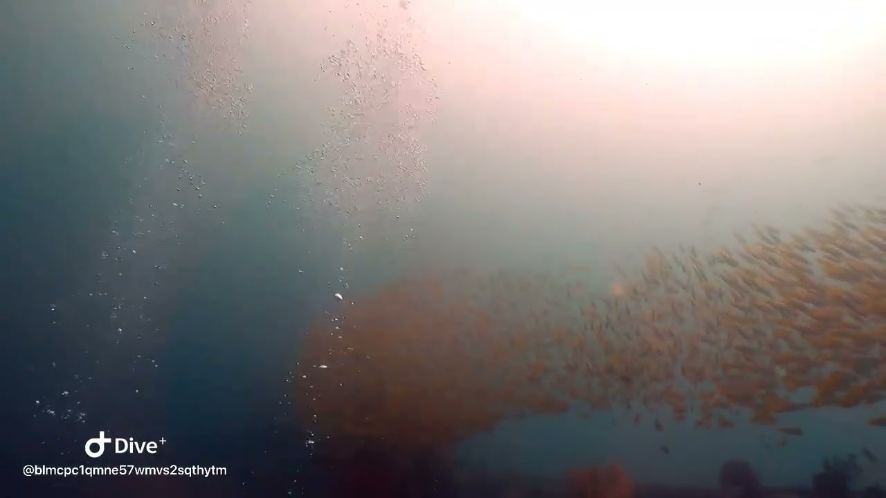 20260215 Busuanga Olympia Maru