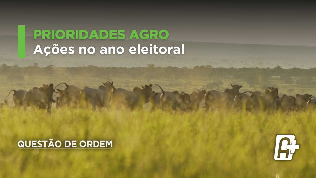 Prioridades da Comissão de Agricultura no ano eleitoral com Luiz Nishimori | Questão de Ordem