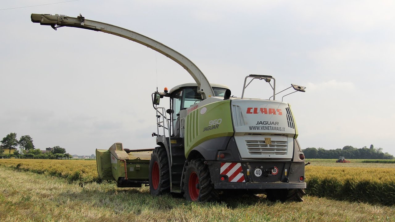 Claas Jaguar 960 + Direct Disc 610 | 3x Fendt & John Deere | Trinciatura Triticale 2019 Veneta Mais