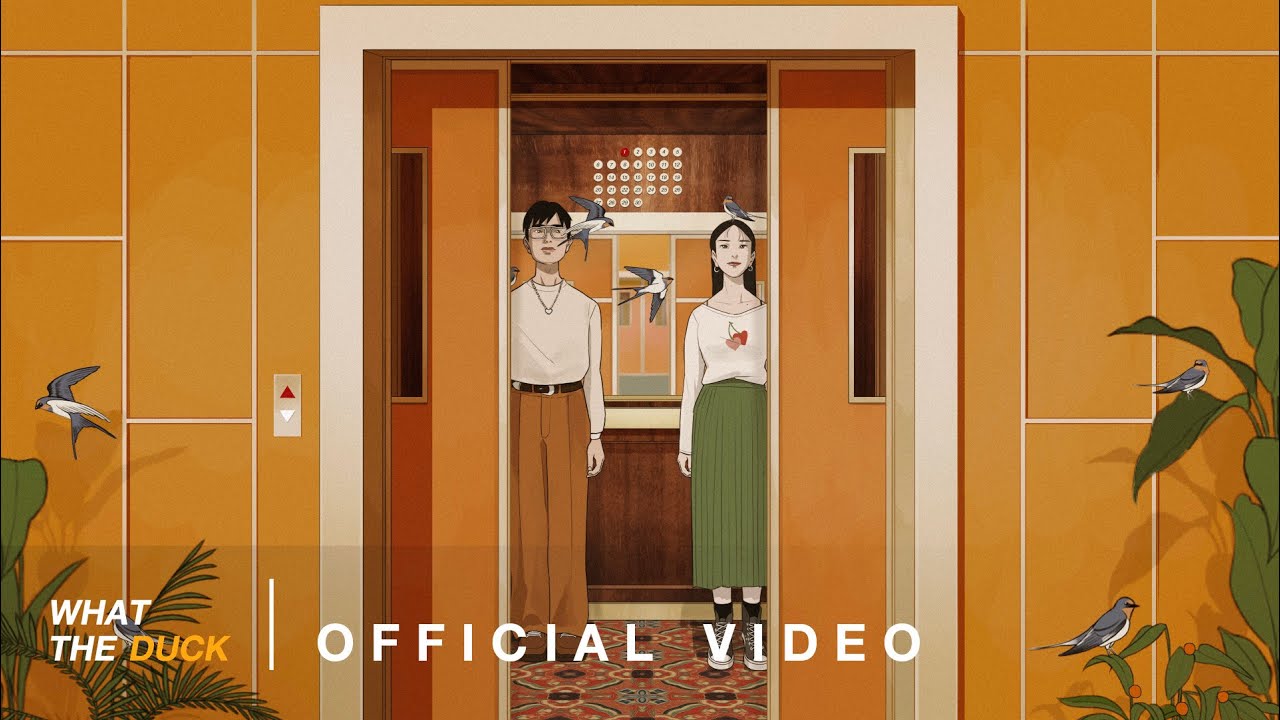 QLER - 30 cm [Official Visualizer]