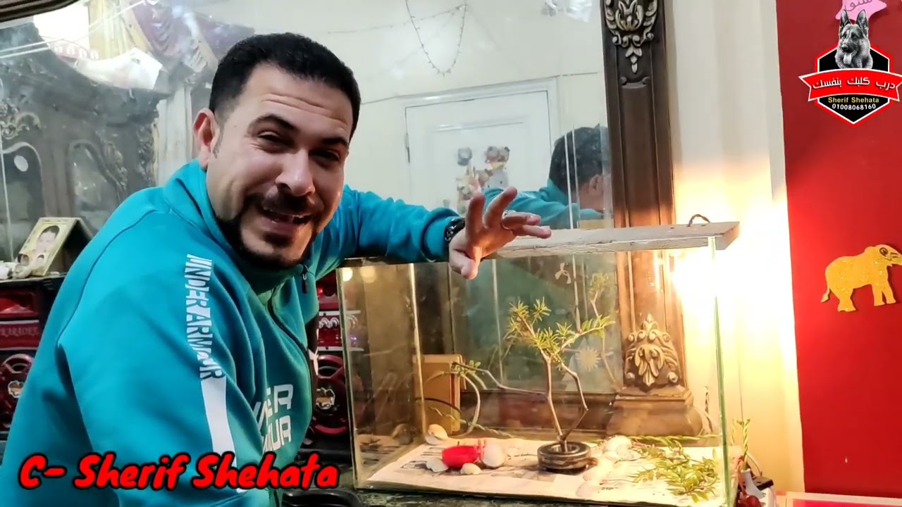 كيفيه عمل بيت للثعبان وطبيعه اكله الدساس مع كابتن شريف شحاته