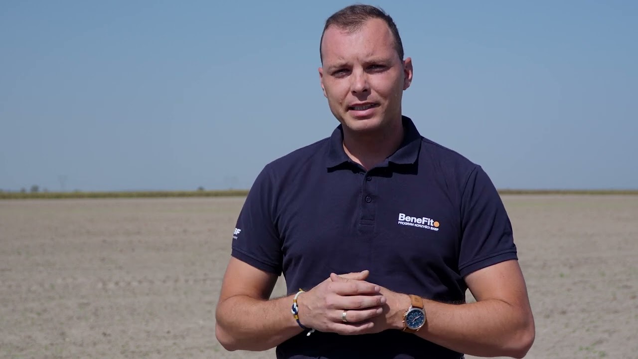 Skuteczna ochrona rzepaku ozimego i regulacja pokroju w jednym. Posłuchaj eksperta BASF!