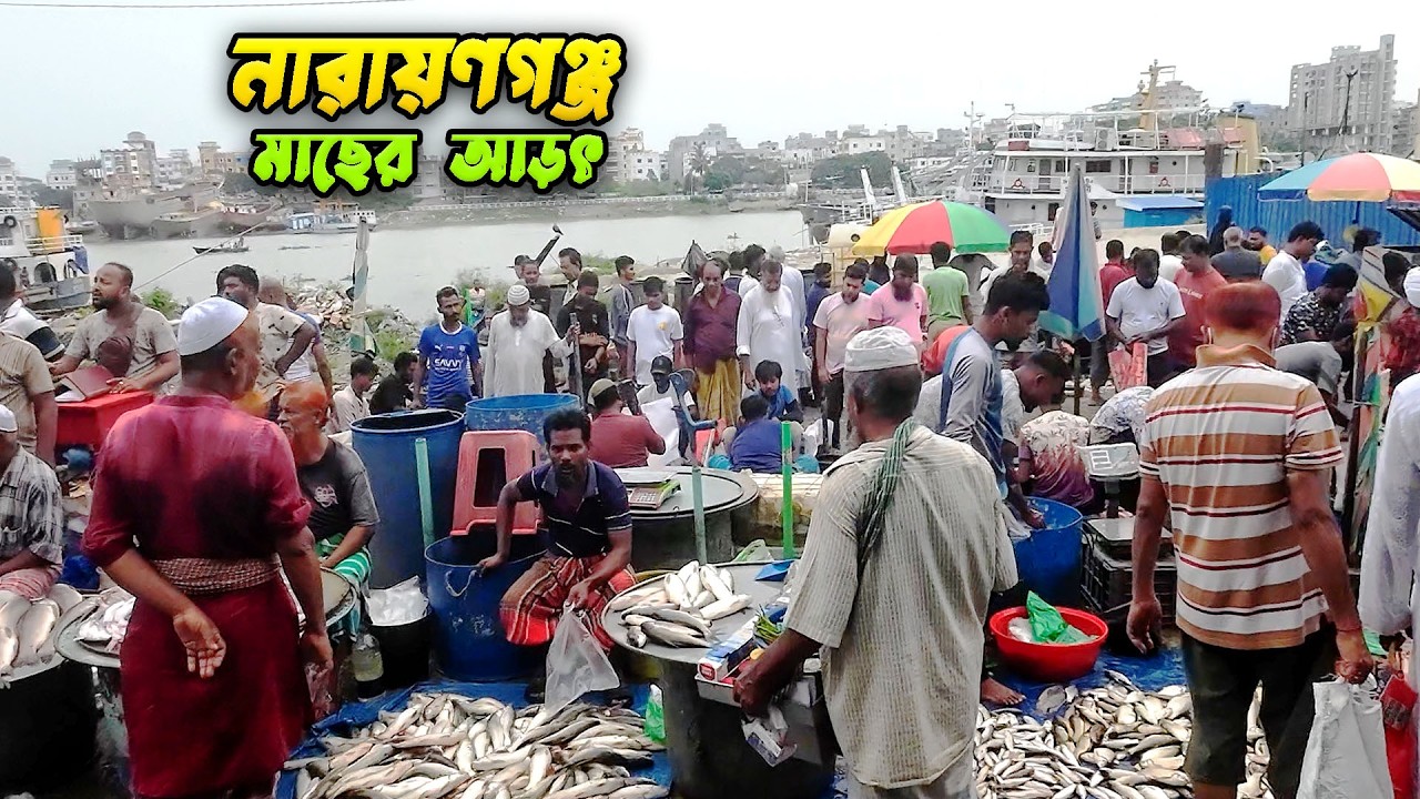 নারায়ণগঞ্জ ৫নং ঘাটে পাইকারি দামে টনকে টন মাছ! খুচরা দামও চমকে দেবে 🐟💰Narayanganj fish market 2025