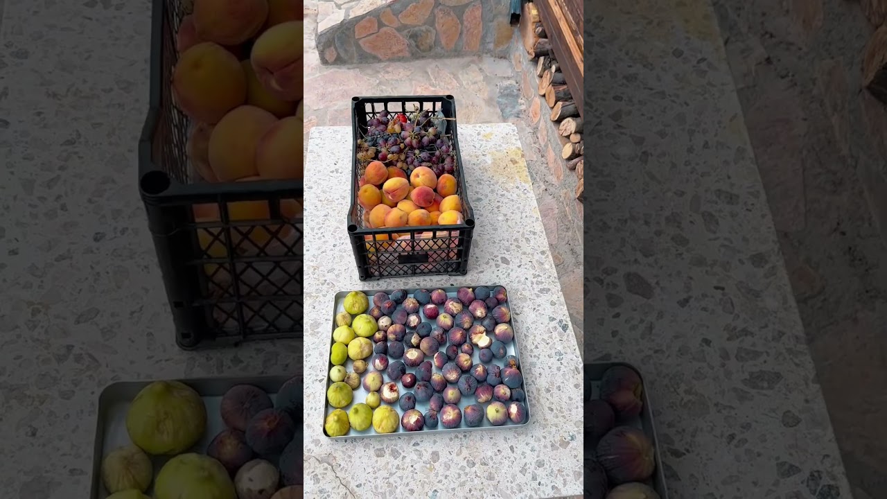 Bah&ccedil;emizde bir yaz sabahı