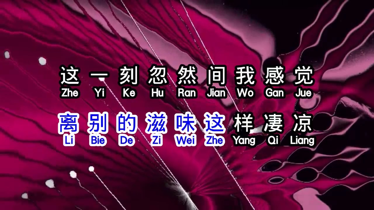 林淑容  《 我怎麼哭了 》  wo zen me ku le